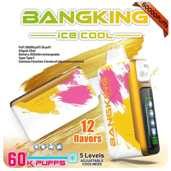 【王嘉爾同款】Bangking 60K 拋棄式電子煙|五檔冰感調節|60K 口數體驗:圖片 2